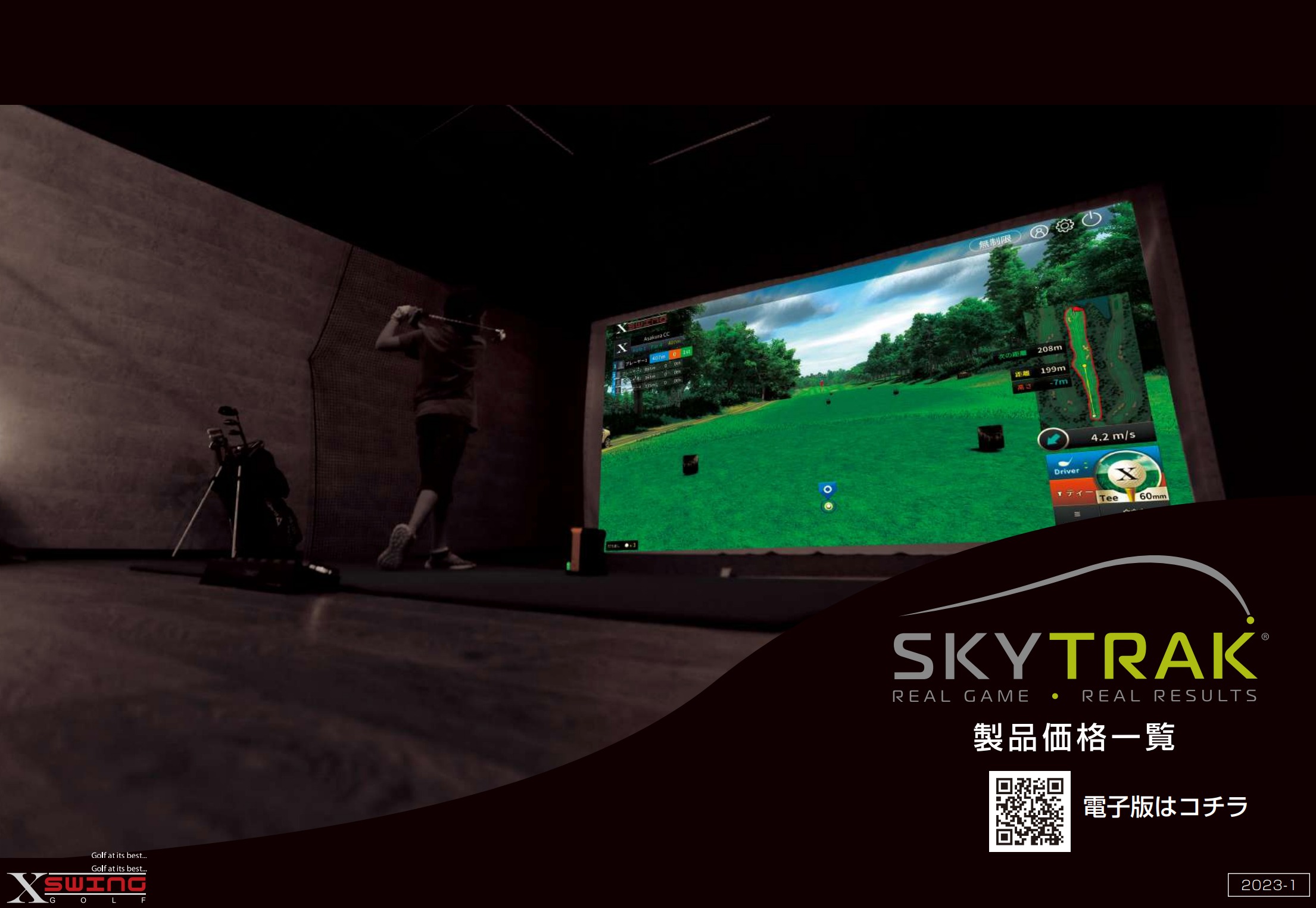 Screen Golf